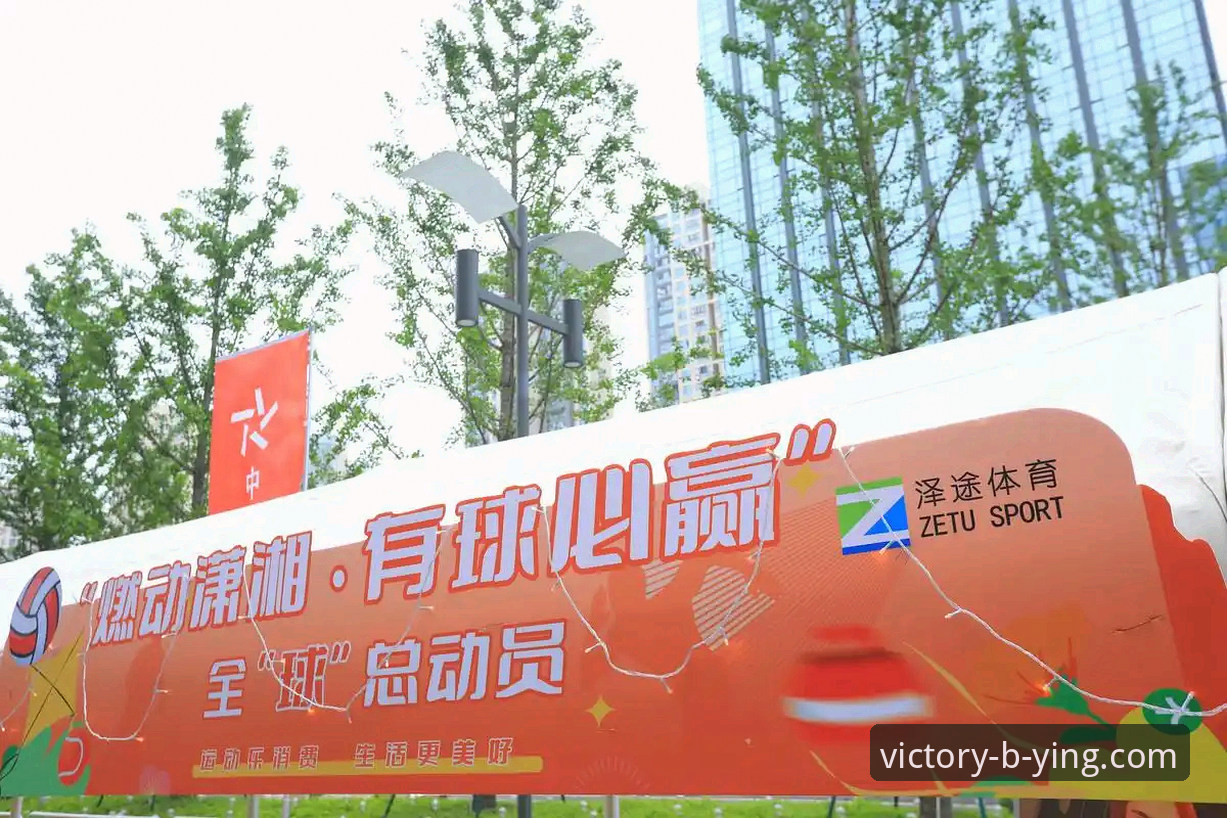 必赢体育平台下载异常深度评测：从崩溃到重连的全流程解决方案